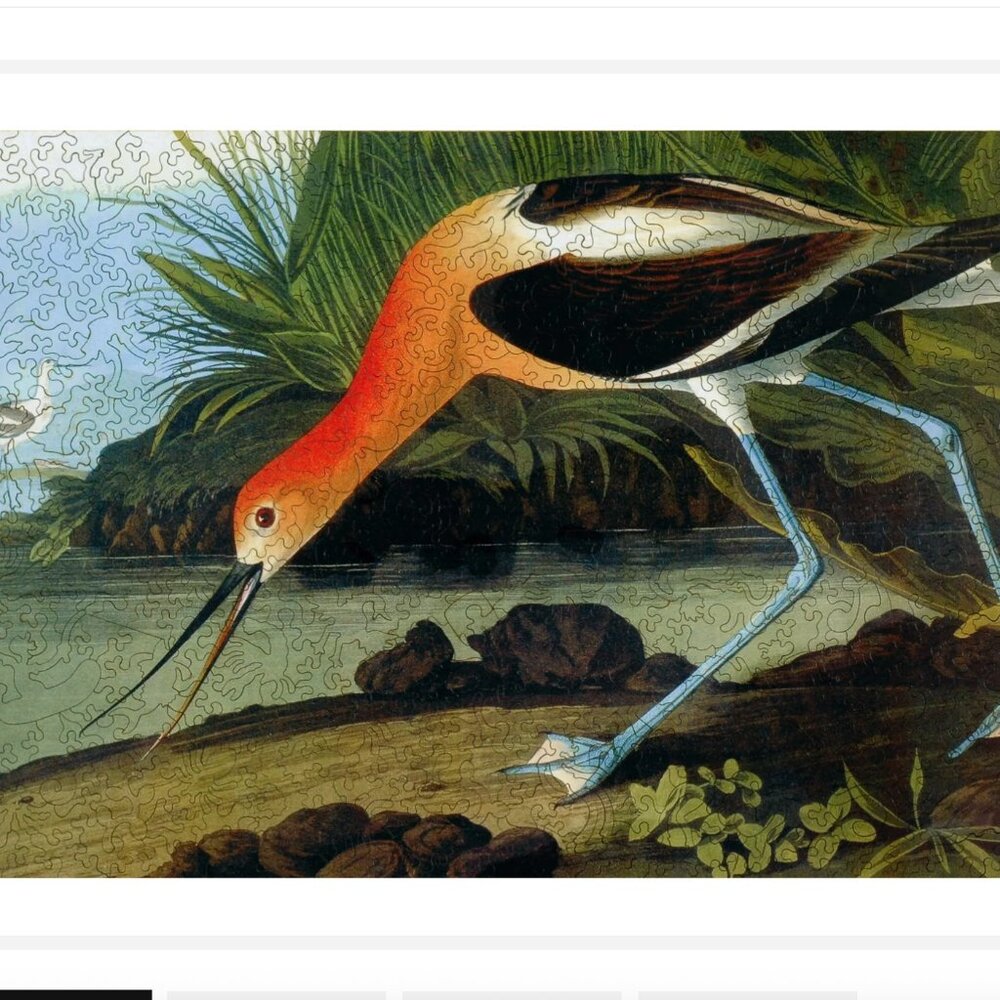 Liberty Puzzles American Avocet John Audubon Intricate Vivid Wooden 488 pc EUC